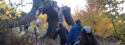 Fall Trail Hike 6 Week Session 2025