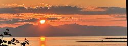 Autumn - Silence by the Sea: 1-Day Silent Meditation & Yoga Retreat