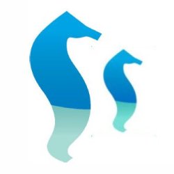Private SwimTots: 4 30-minute credits