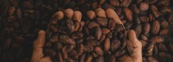 Cacao Ceremony
