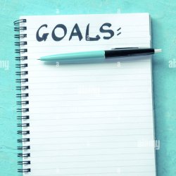 Tandem Goal Setting Session