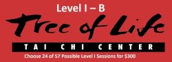 Level I-B Tai Chi - TWICE per Week - 2025 FALL