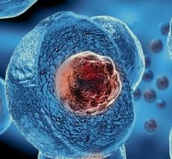 Lifewave X39 Stem Cell Patch