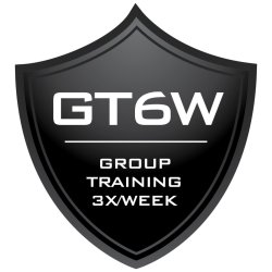 Small Group Training 3x/Week - 6 Weeks