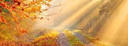 Fall Equinox Yoga at Rosete Family Farm