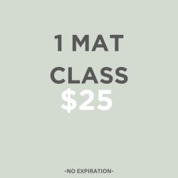 1 Mat Class Session