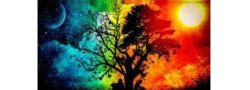 9/14/25 WV Community Celebration Fall Equinox - 48 unit EESystem