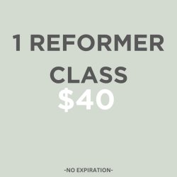 1 Reformer Class Session