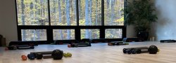 Functional Movement (Balance & Strength) Fitness Session