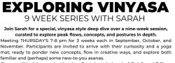Exploring Vinyasa: A Deep Dive with Sarah