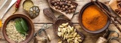 FALL MIND-BODY DETOX Sept 12-14