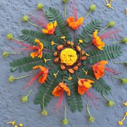 GATHER for Sacred Circles : Nature Mandela Workshop