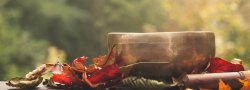 Harvest Your Peace Sound Bath