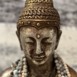 MEDITATE 365: 2026 Year of Meditation (livestream)