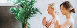 Menopause/Perimenopause -Empowered Transition