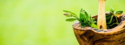 SPRING MIND-BODY DETOX Apr 10-12