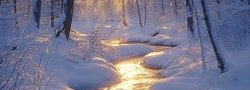 JANUARY MIND-BODY DETOX Jan 16-18