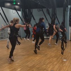 Premier Studio Membership