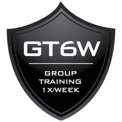 Small Group Training 1x/Week - 6 Weeks