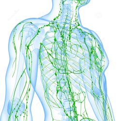 3 Lymphatic Drainage Sessions (50 min each)