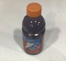 Gatorade Cool Blue Fruit Punch