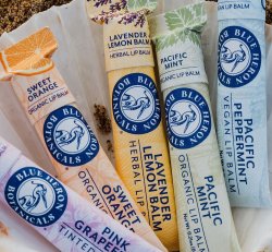 Lip Balm
