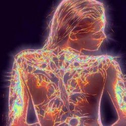 1 Lymphatic Bodywork (50min)