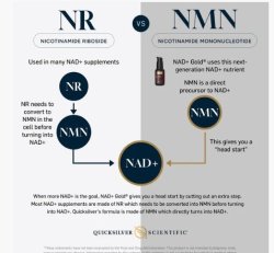 NAD+ Gold® 50 ML