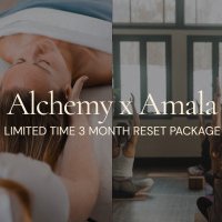Amala x Alchemy 3 Month Subscription DEAL