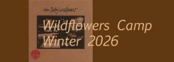 Wildflowers (Tom Petty) Band Camp~ Winter 2025