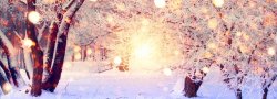 Kids Night Out I Sat Dec 20th I Winter Wonderland Yoga