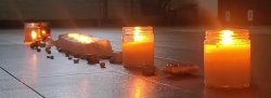 Harvesting: Inner Abundance