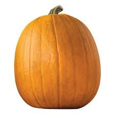 $10.00 Donation Thanksgiving Benefit Class