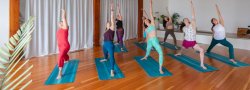 Introduction to Yoga - Four Week Beginner Series