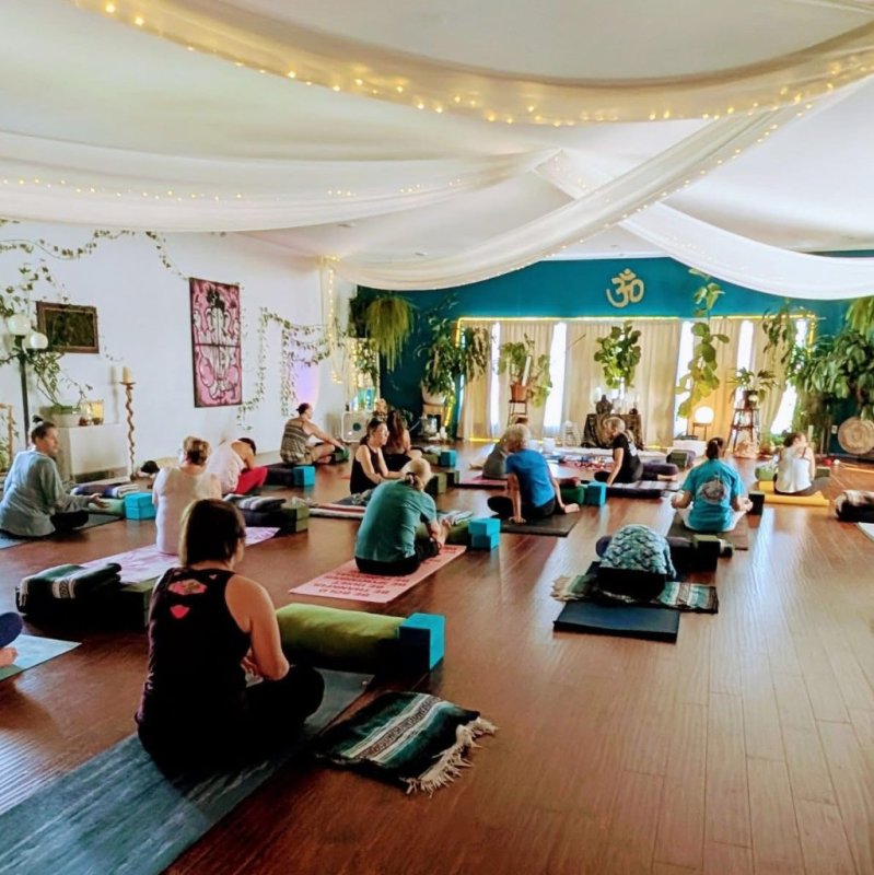 Vinyasa (Level 1)