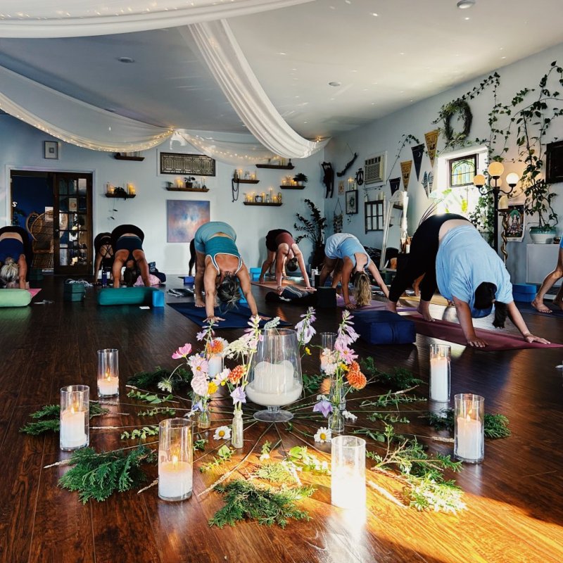 Vinyasa (Level 2)