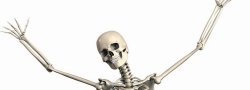 Bones for Life!