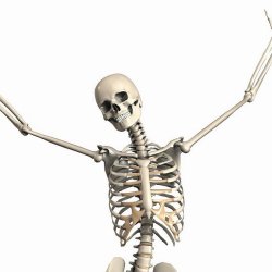 Bones for Life!