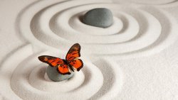 Deep Relaxation Practices