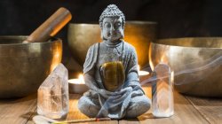 Sun Salutation Foundations