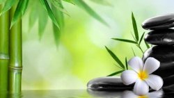 Heart of the Practice: A Foundational Workshop