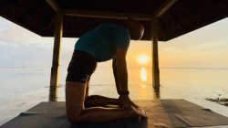 Awaken the Heart: Yoga for Emotional Balance (Free Global Online Event)