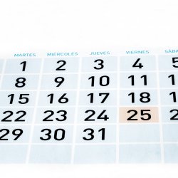 November Unlimited Monthly Pass 2025