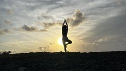 Intro to Forrest Yoga