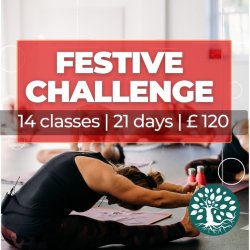 14 Classes in 21 Days Challenge