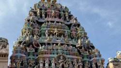 See India with Kelli
