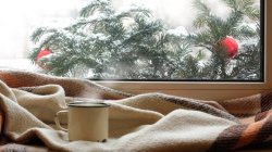 Holistic Holidays | Ayurvedic Wisdom