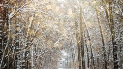 Winter Solstice | Mini-Retreat