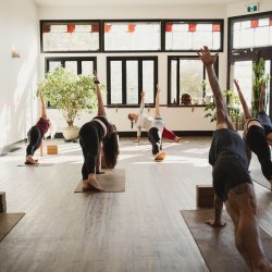 The Accountability Project 3X/Studio Classes Per Week for 12 Weeks