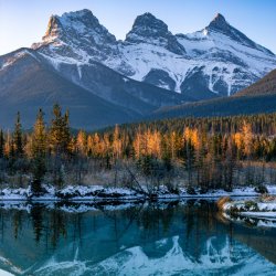 Three Sisters-Perimenopause/Menstrual Support